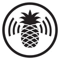 Wi-Fi Pineapple